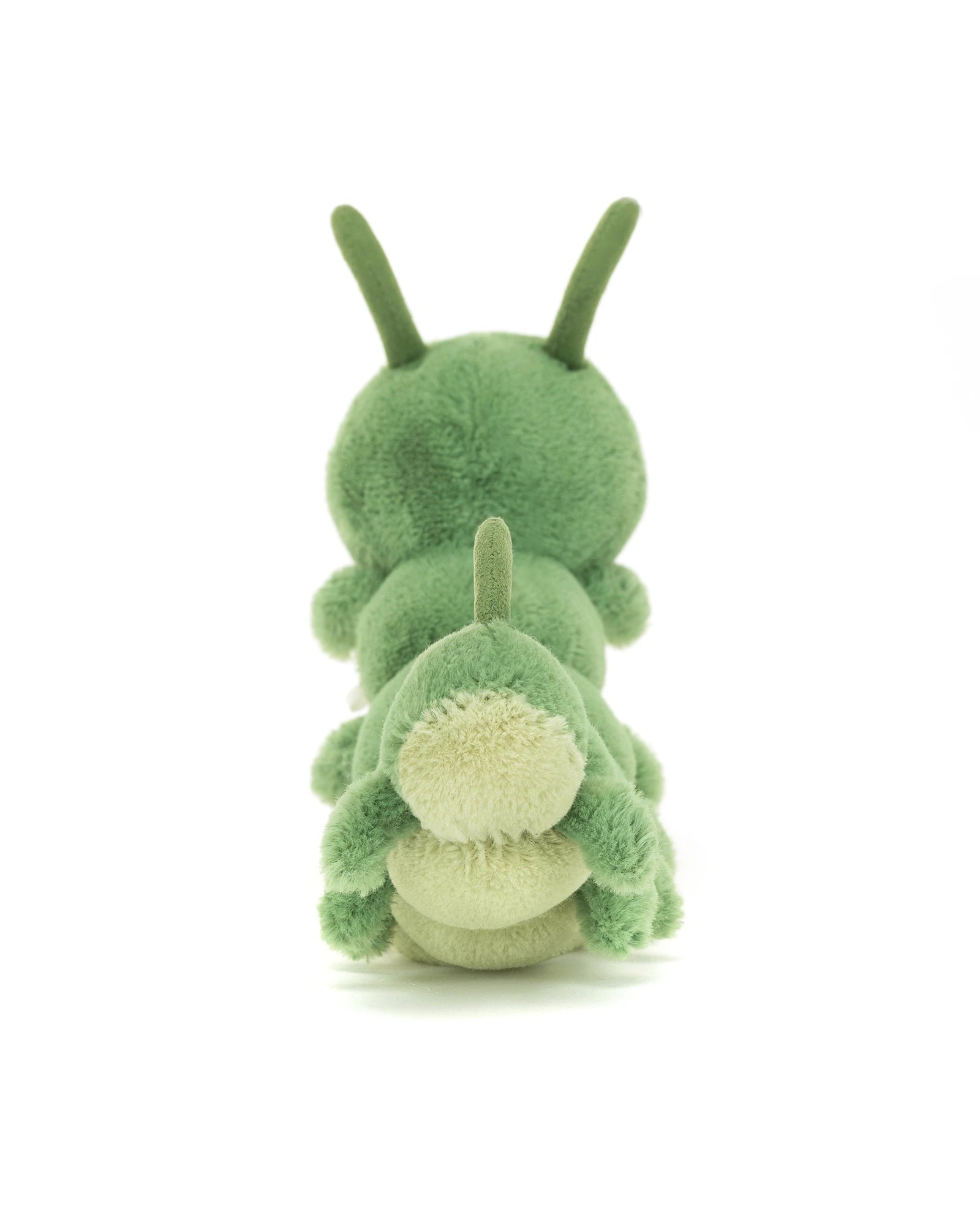 Carys Caterpillar
