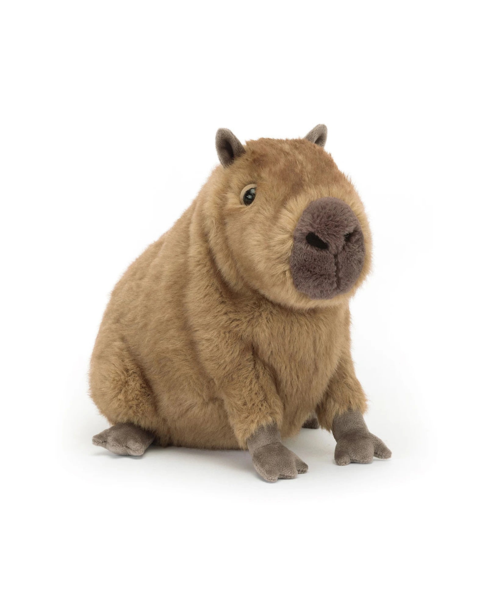 Clyde Capybara