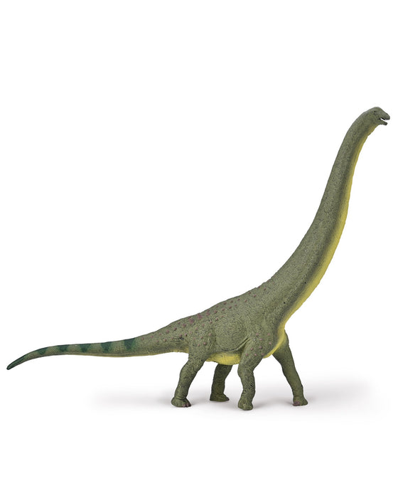 CollectA DLX Dreadnoughtus