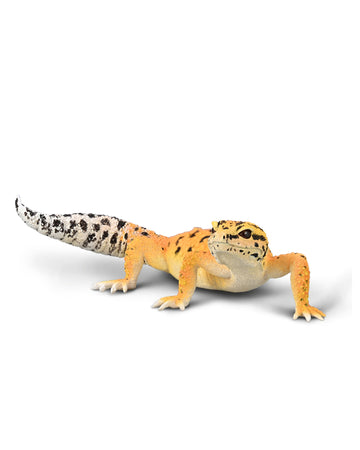 Leopard Gecko