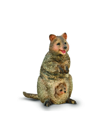 Quokka with Joey