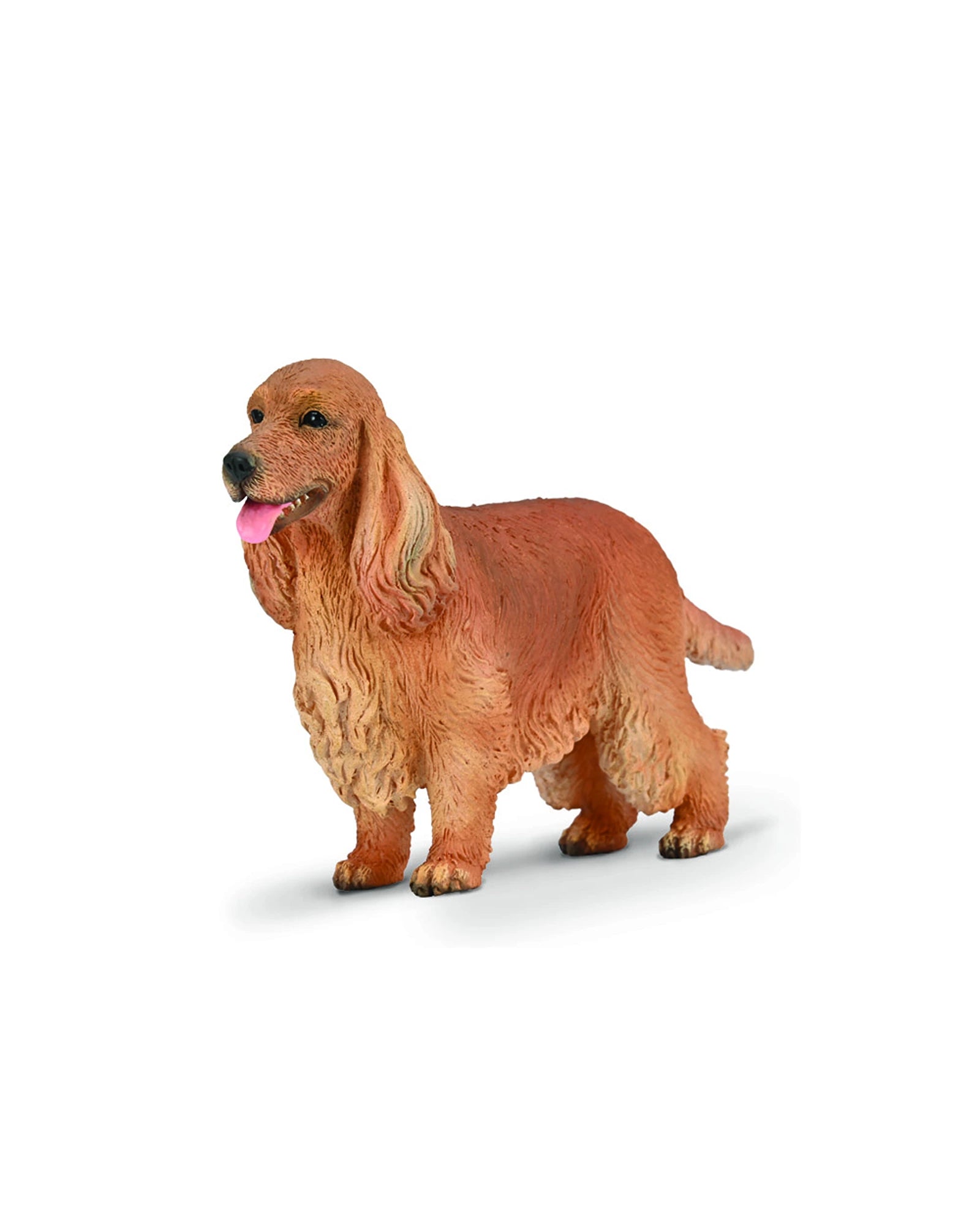 English Cocker Spaniel