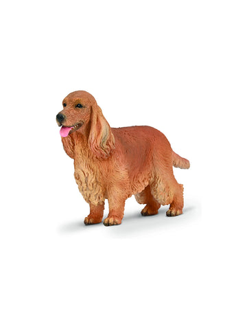 English Cocker Spaniel