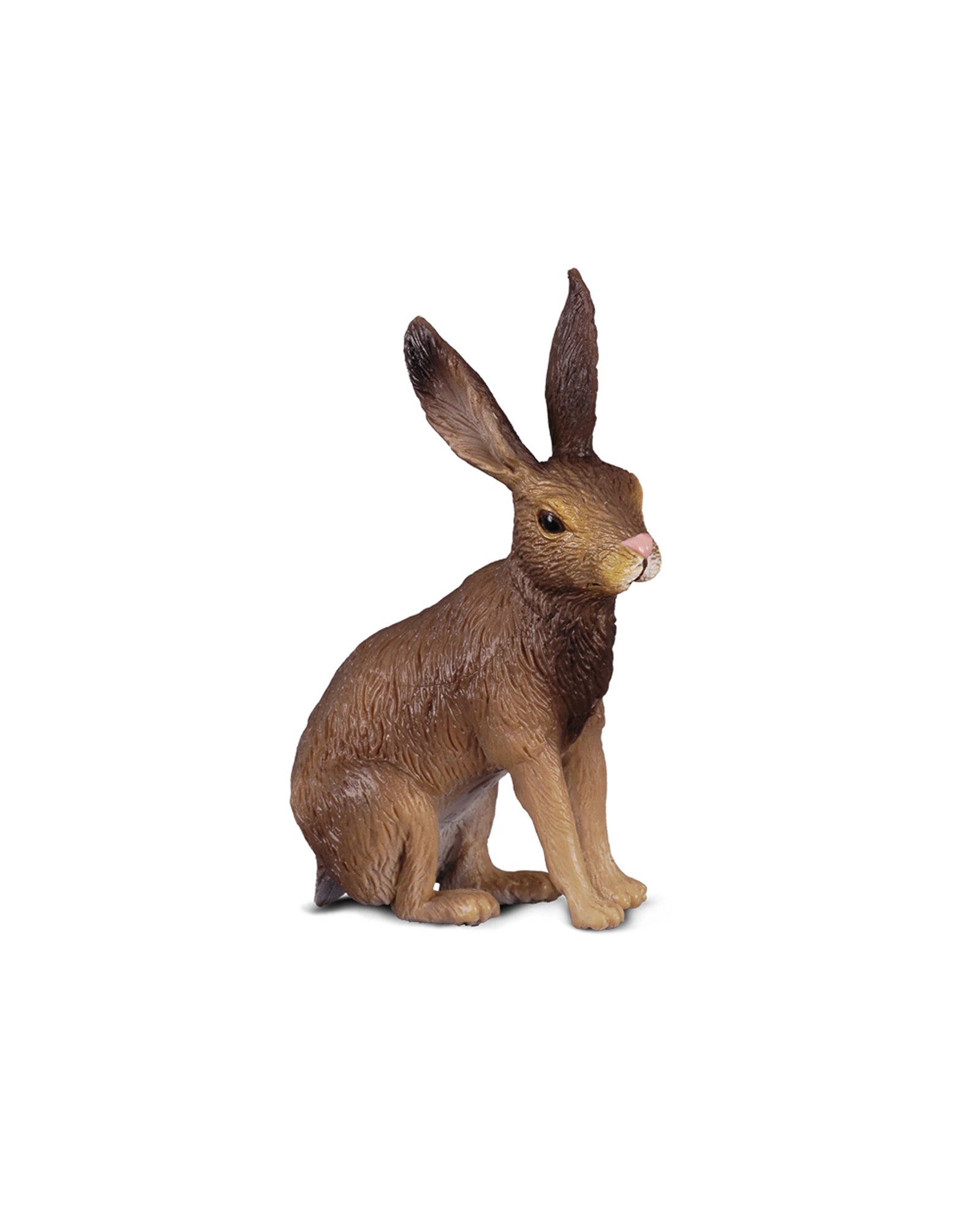 Brown Hare