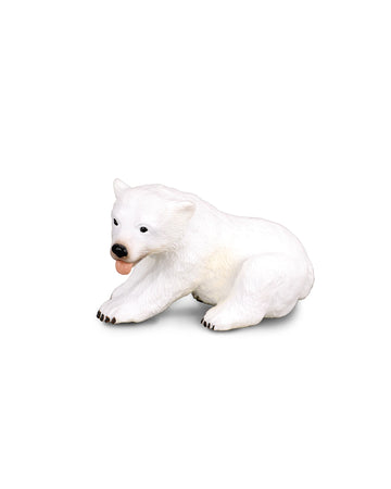 Polar Bear Cub Sitting