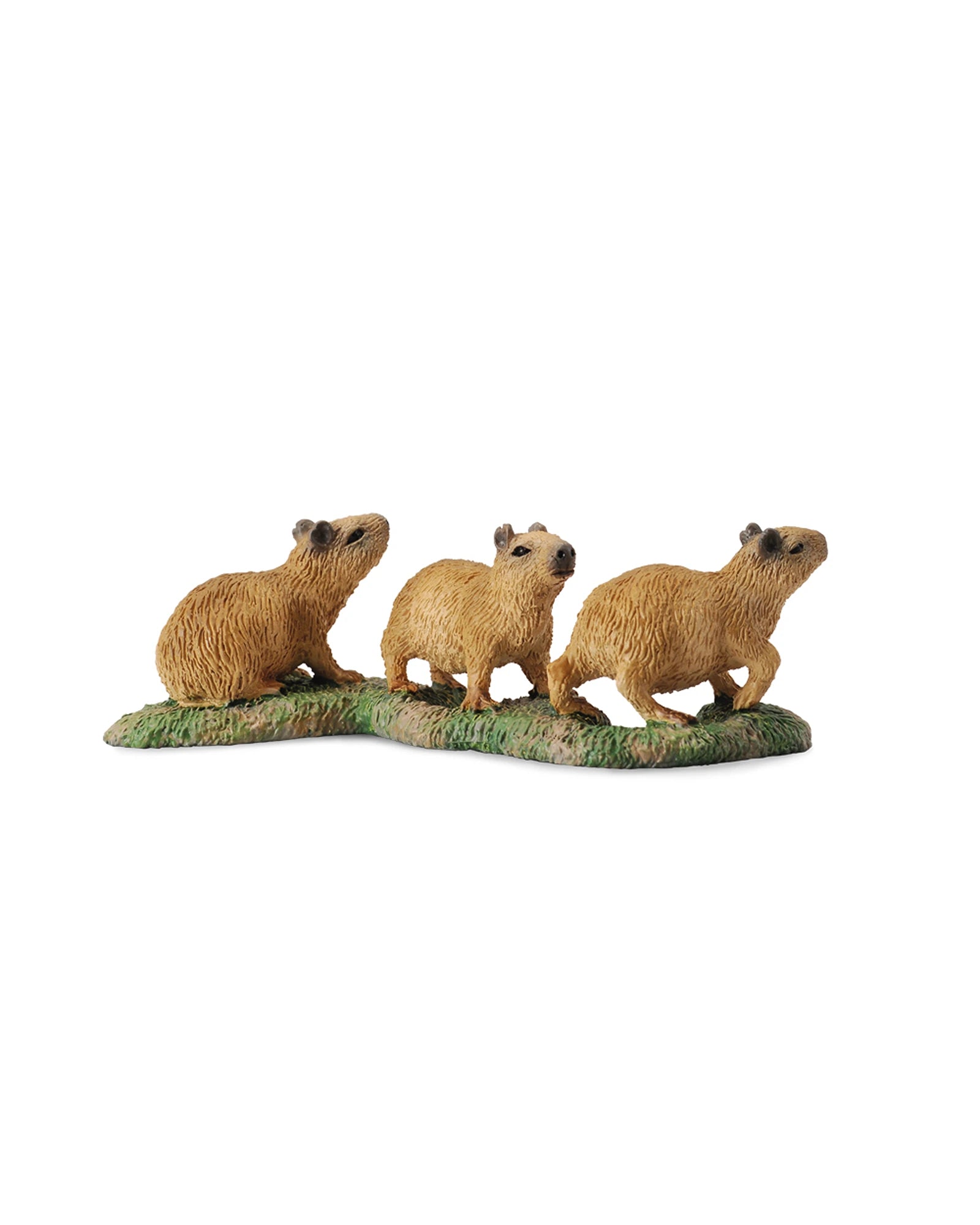Capybara Babies