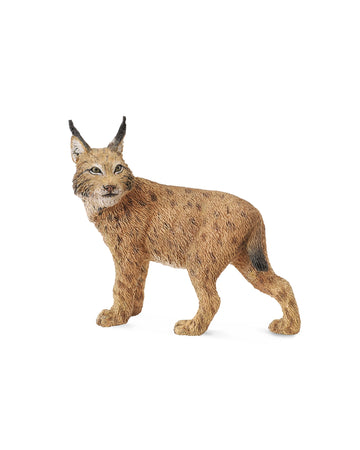 Lynx