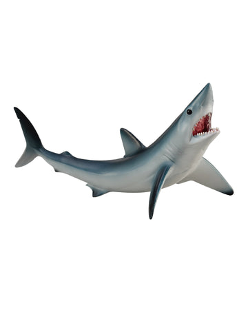 Shortfin Mako Shark