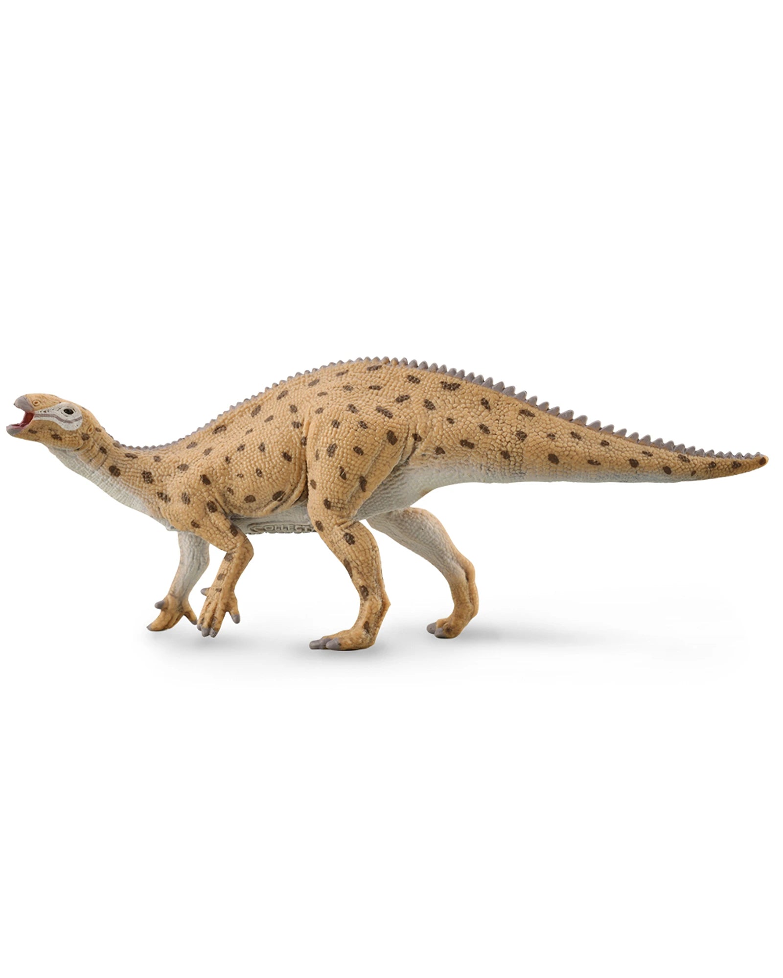 Fukuisaurus