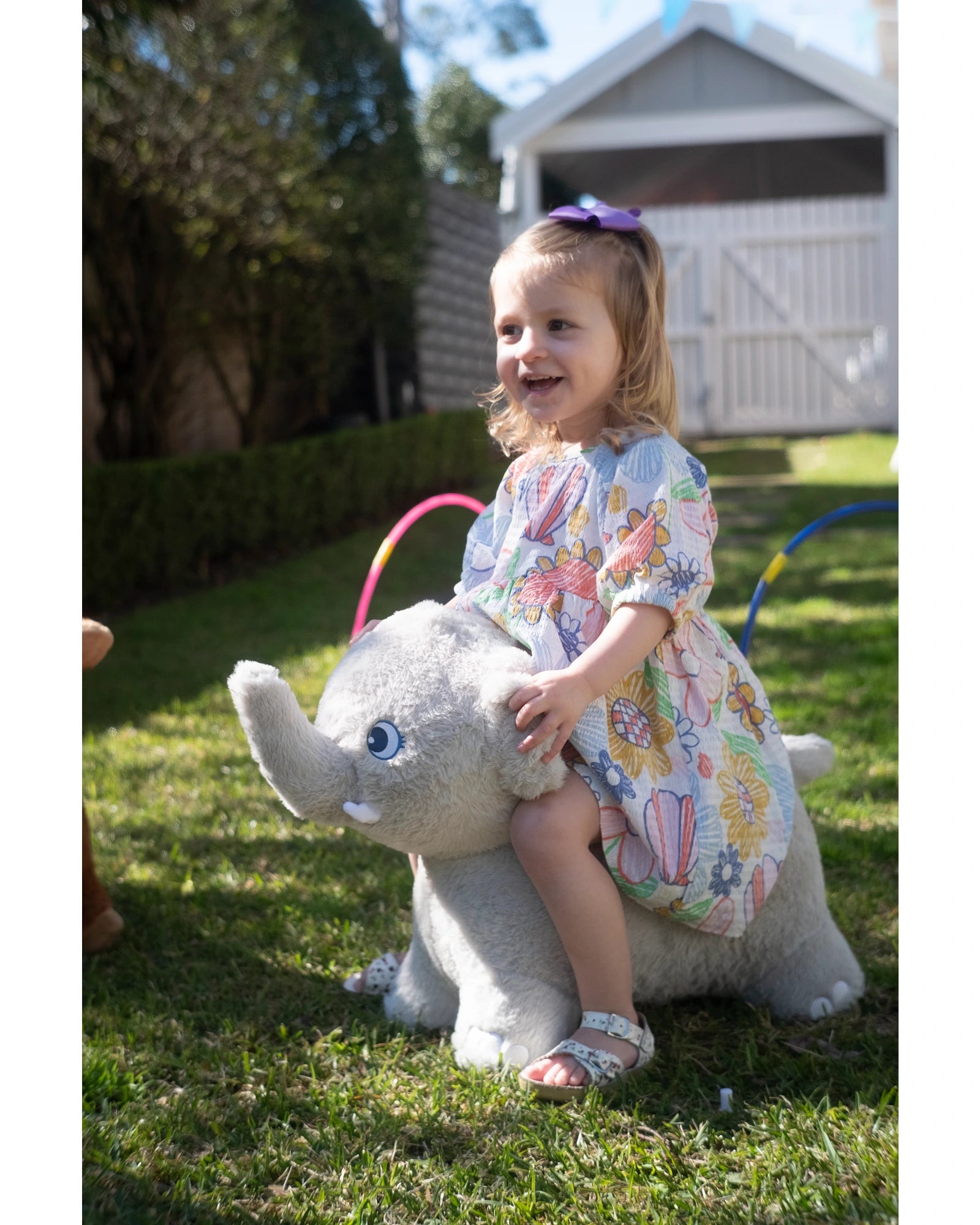 Elephant Hopper