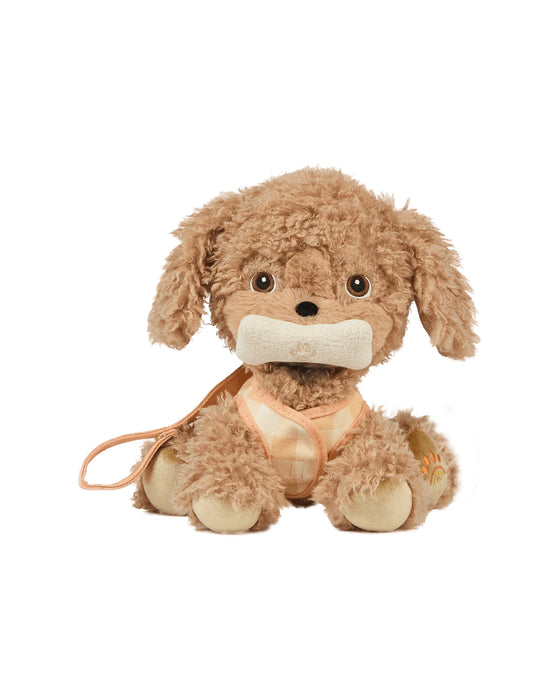 Dinkum Dog Goldie Gold