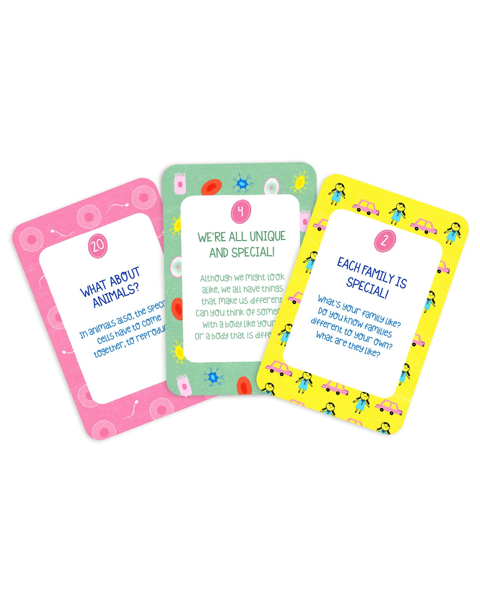 Flashcards - My Body My Rules