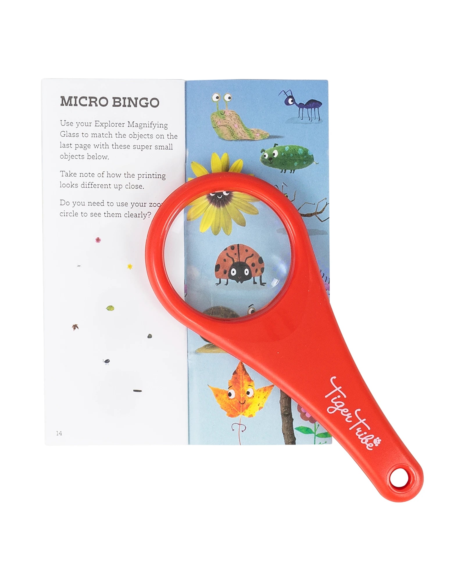Explorer Magnifying Glass