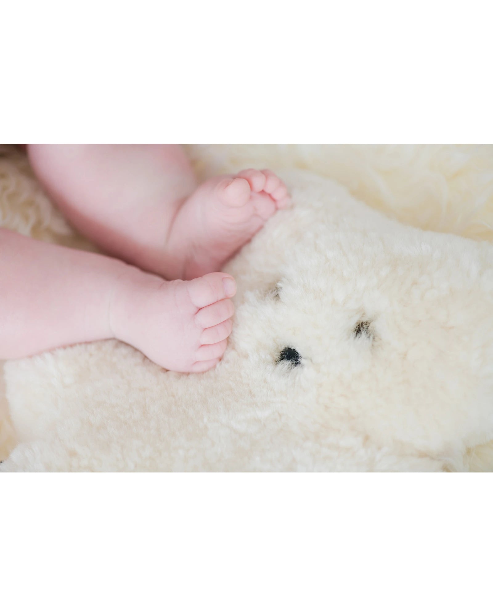FLATOUTbear Milk