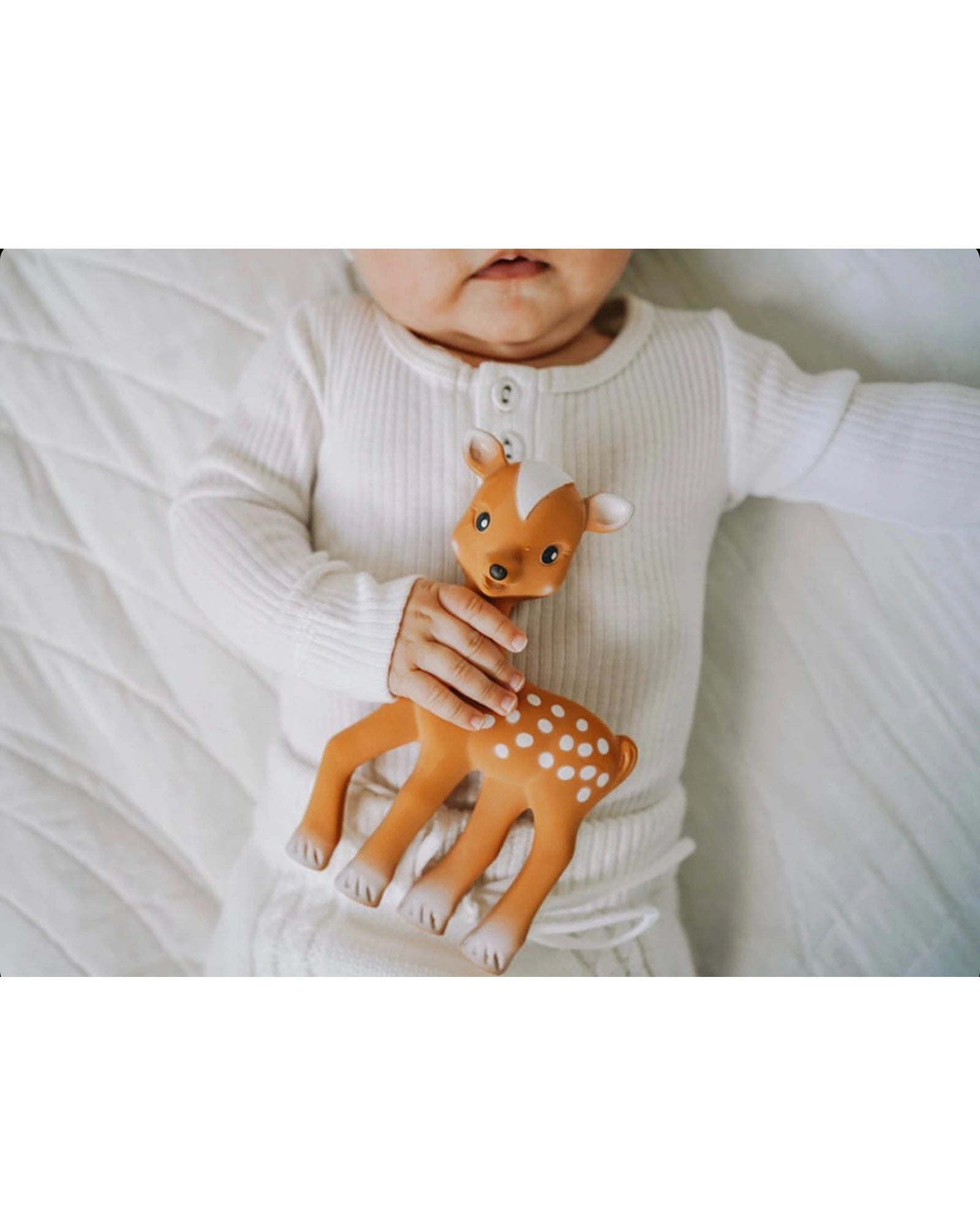 Fanfan the Fawn