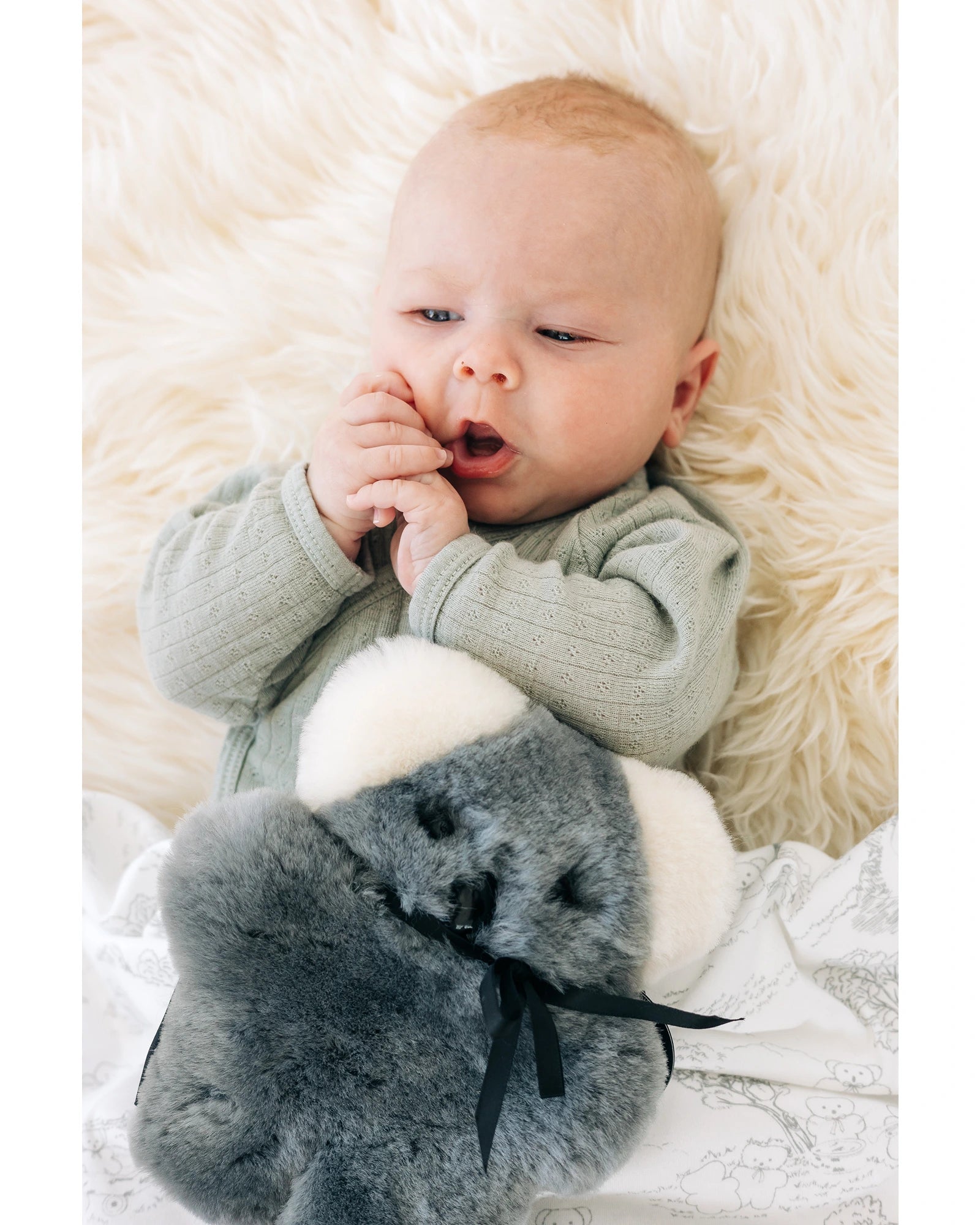 FLATOUTbear Baby Koala