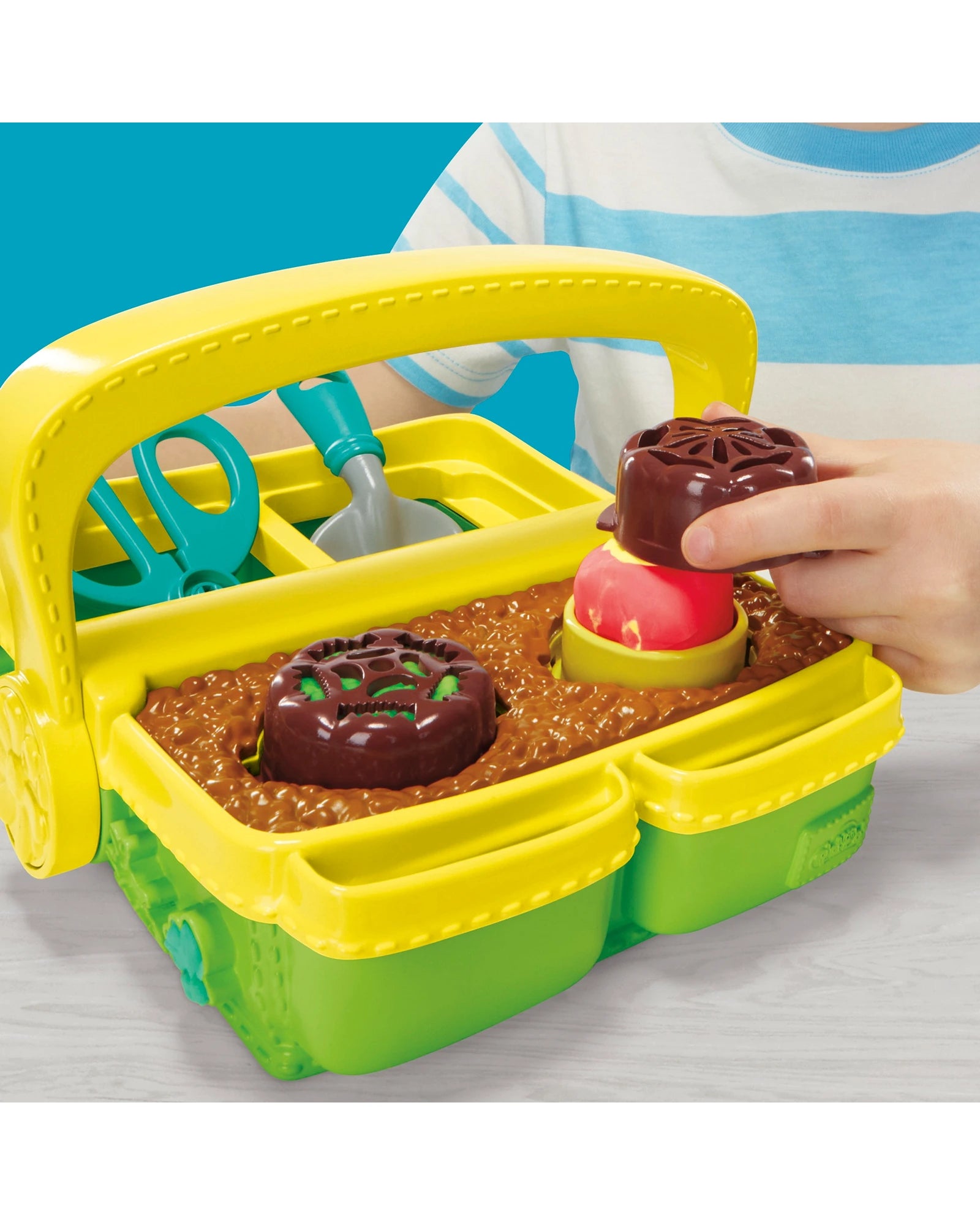 Play-Doh Blooming Flowers Set