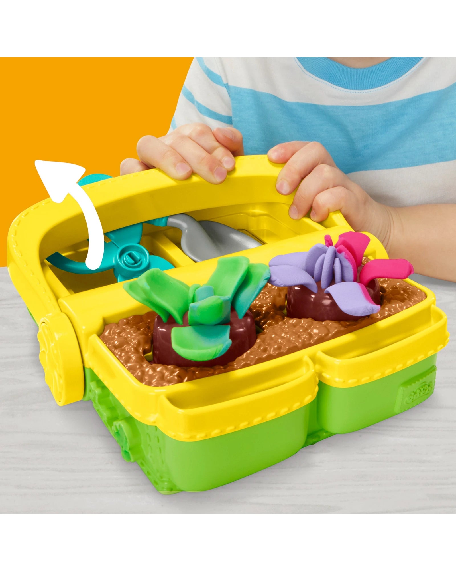 Play-Doh Blooming Flowers Set