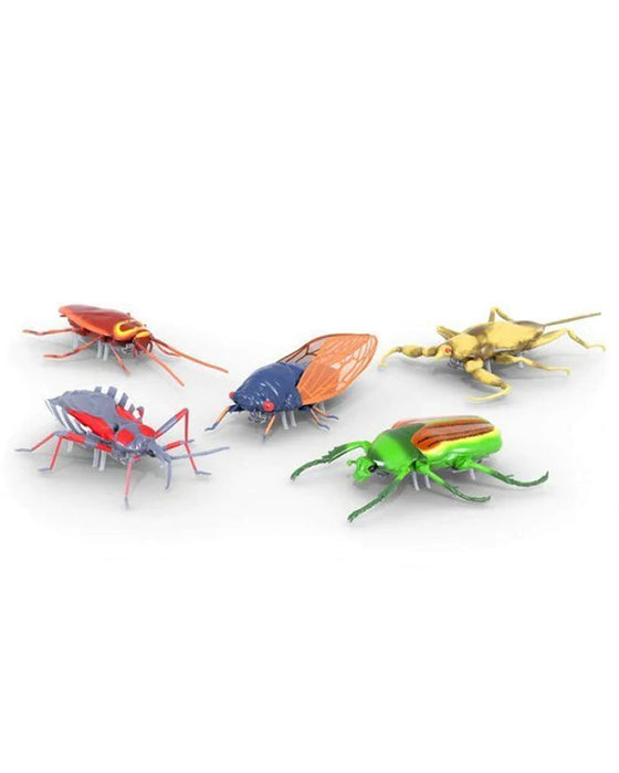 Hexbug bugs new arrivals