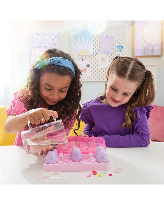 Hatchimals Alive Rainbow Splash Carton