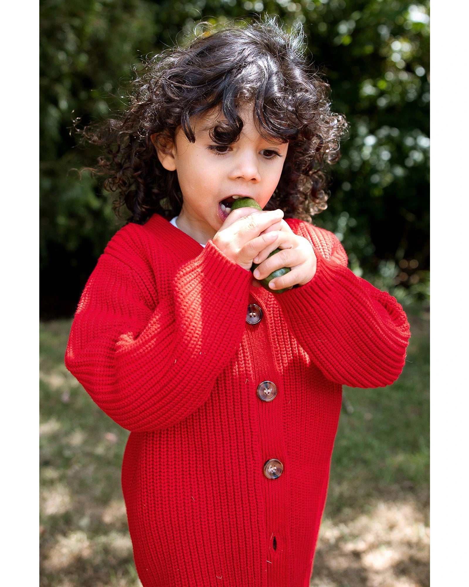 Homegrown Organic Chunky Knit Cardigan Red