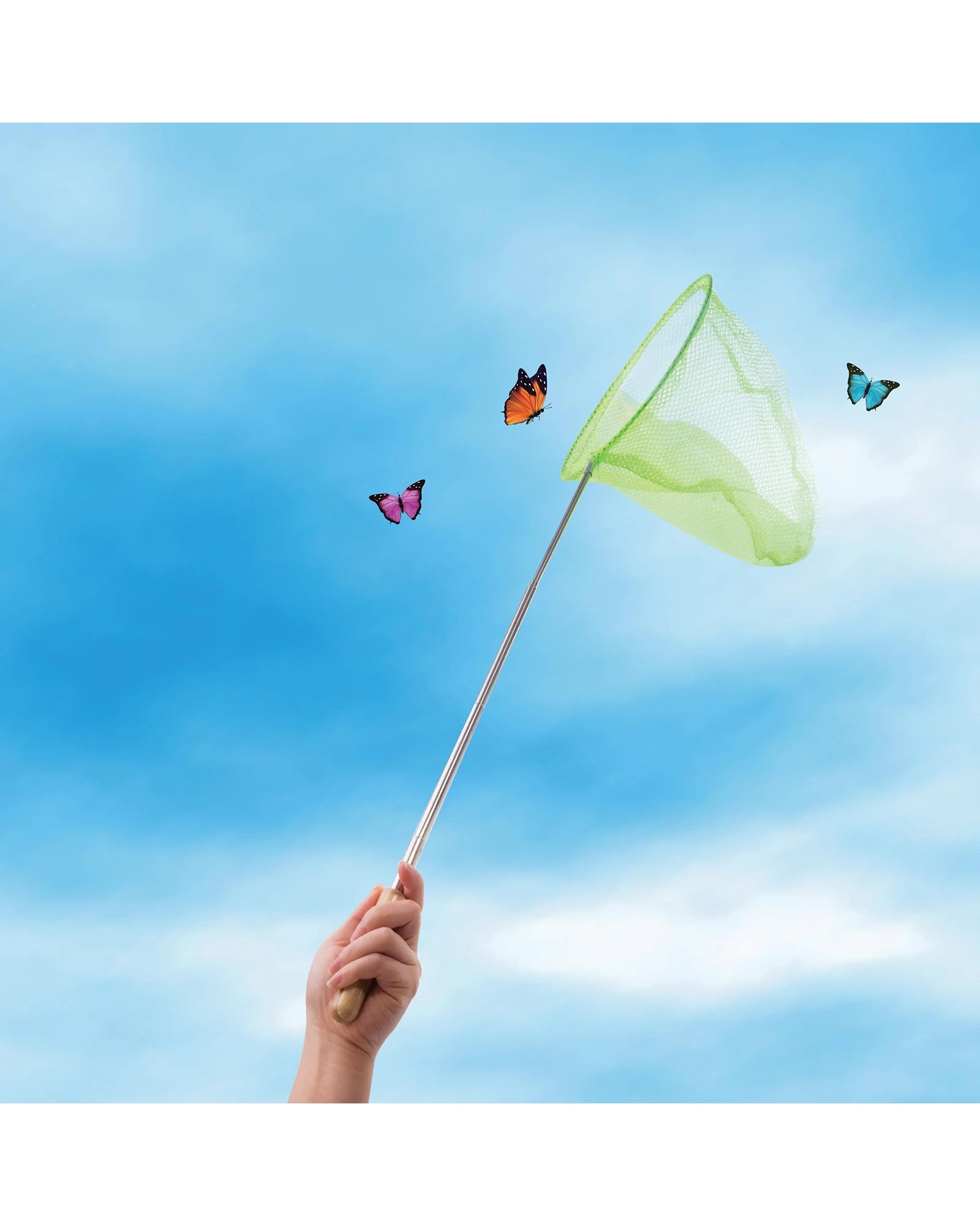 Telescopic Net - Assorted