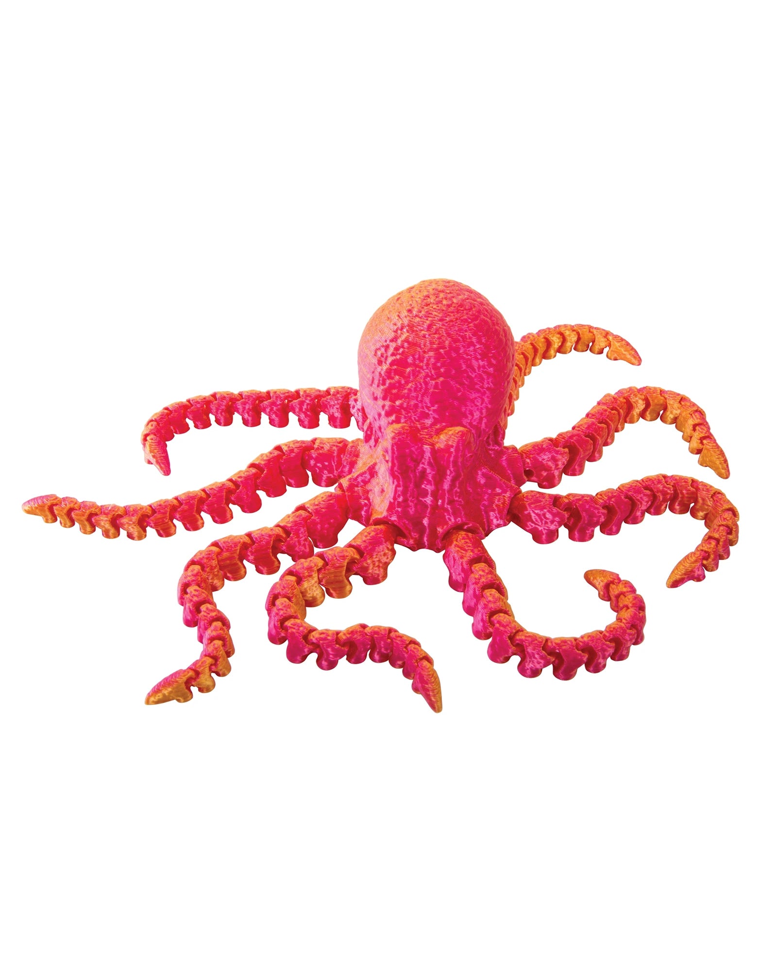 3D Sensory Sealife - Assorted