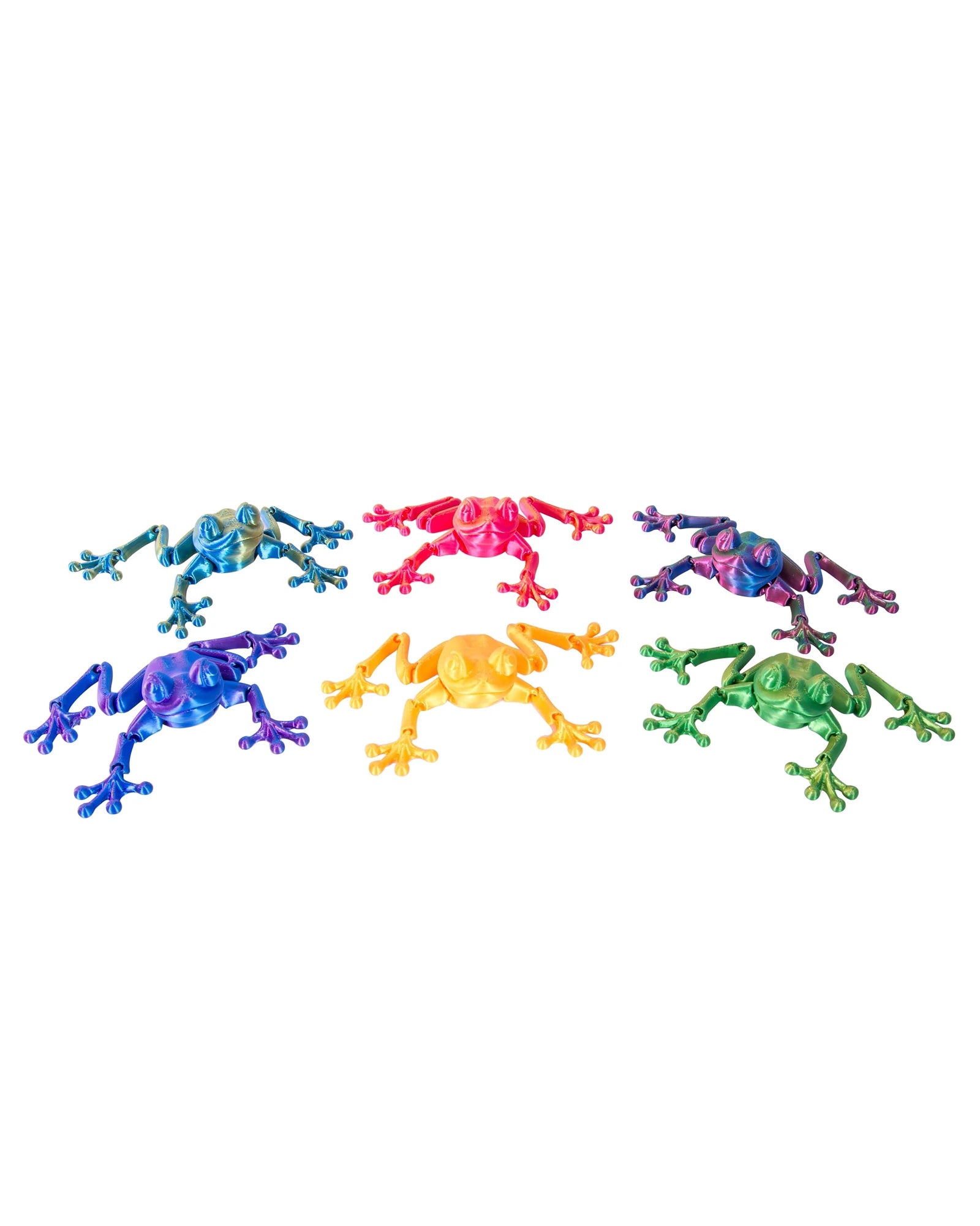 3D Sensory Frog Assorted