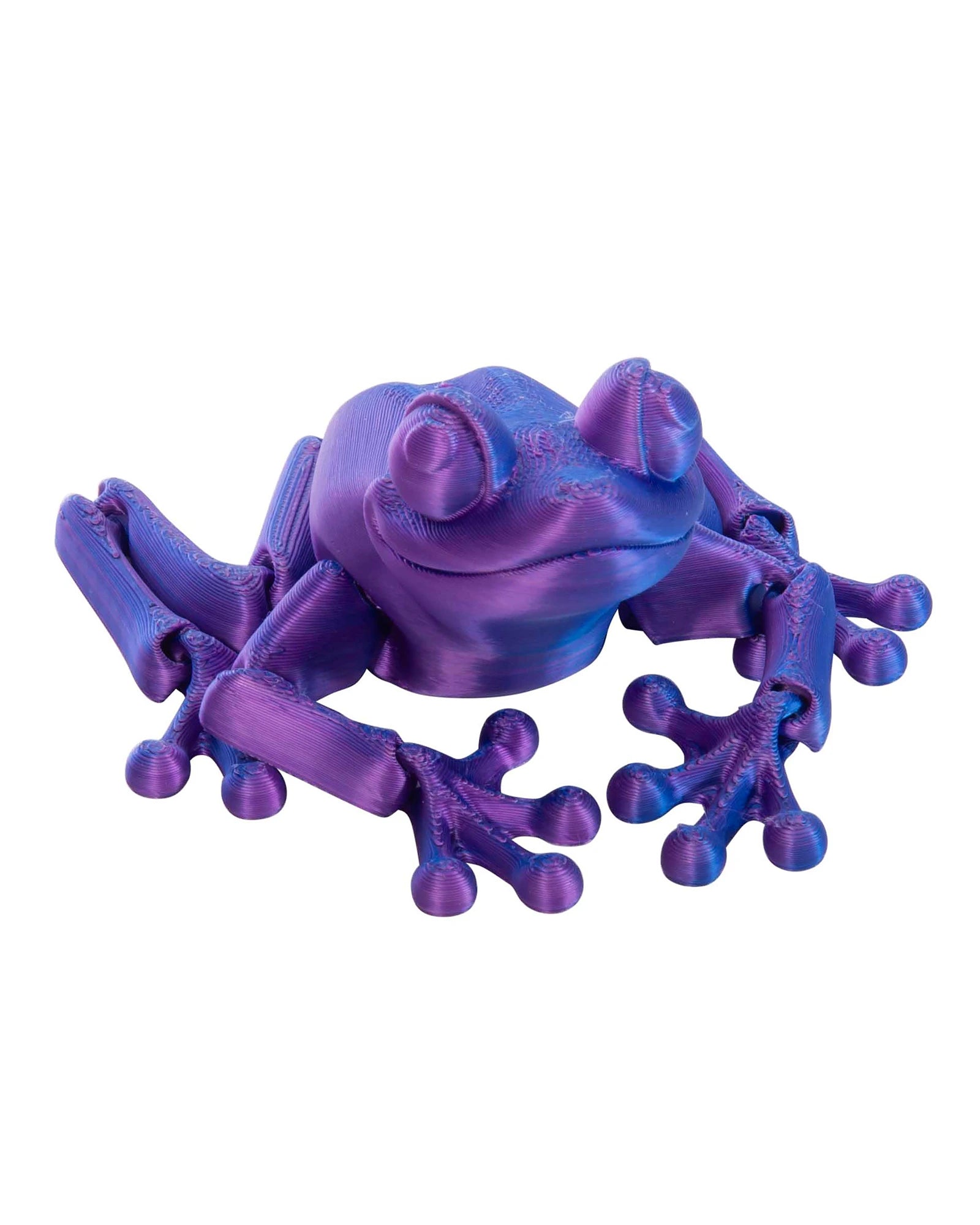 3D Sensory Frog Assorted