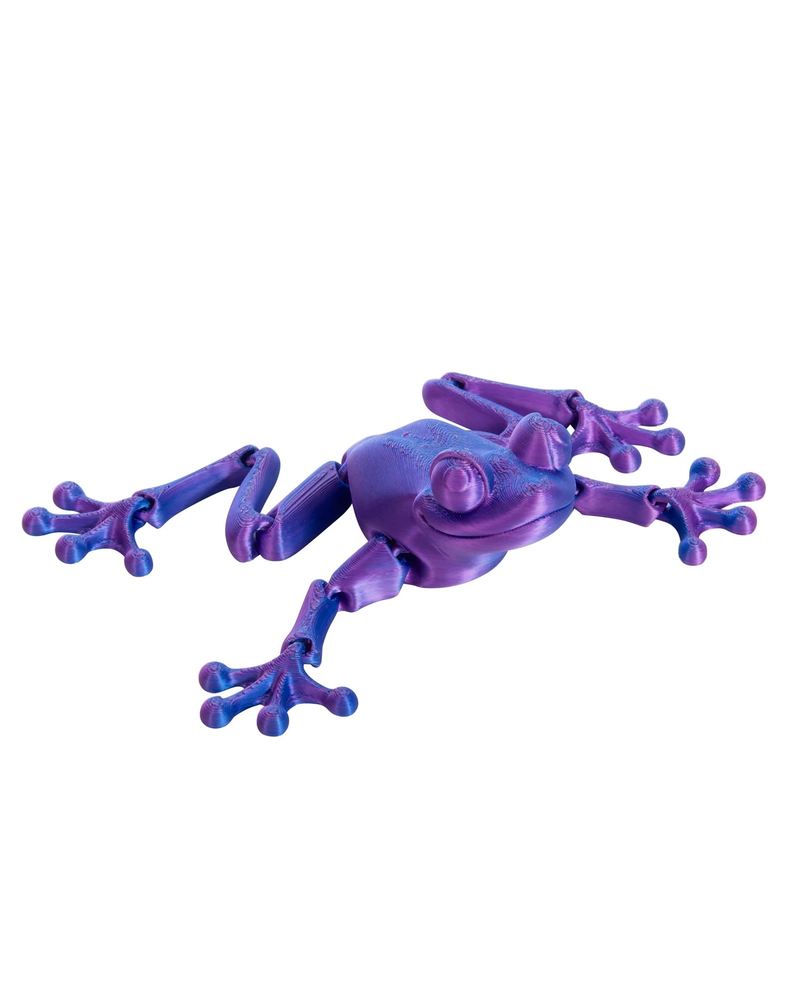 3D Sensory Frog Assorted
