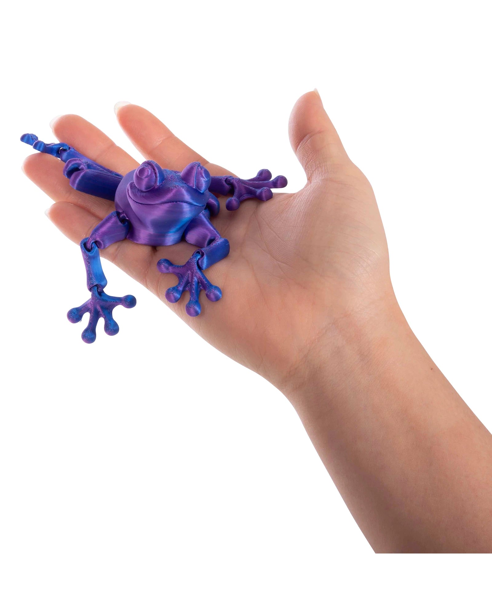 3D Sensory Frog Assorted