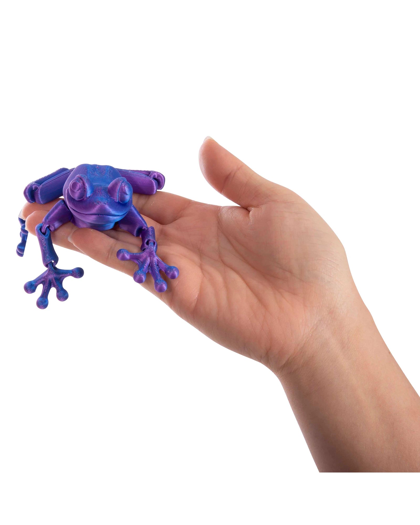 3D Sensory Frog Assorted