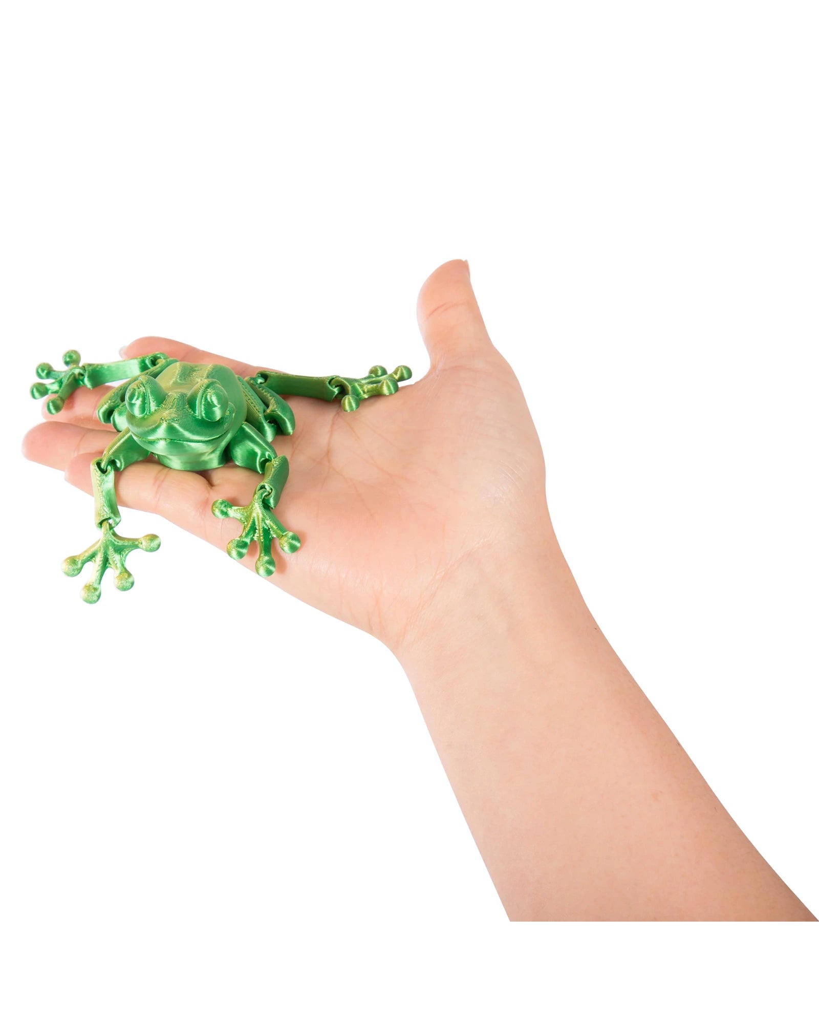 3D Sensory Frog Assorted