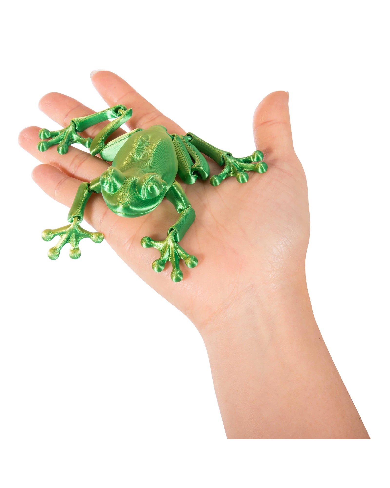 3D Sensory Frog Assorted