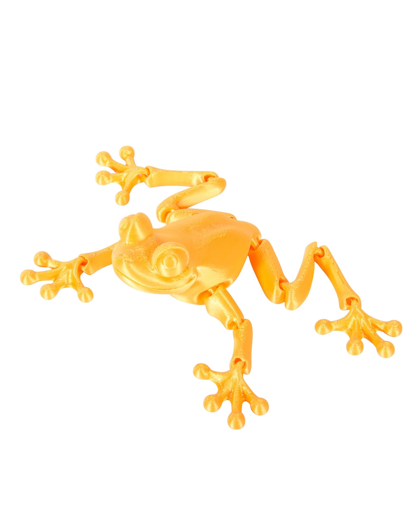 3D Sensory Frog Assorted
