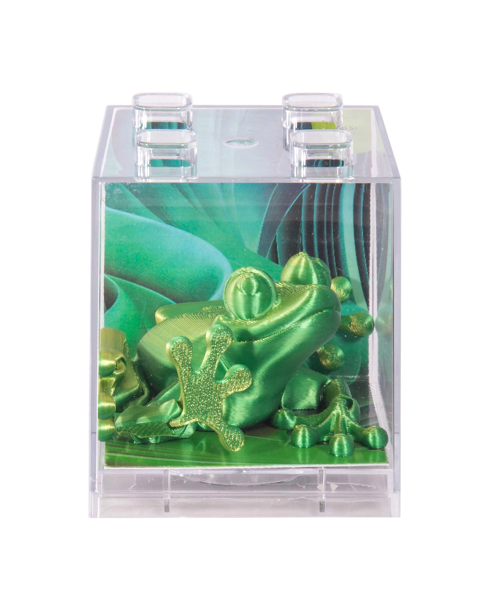 3D Sensory Frog Assorted