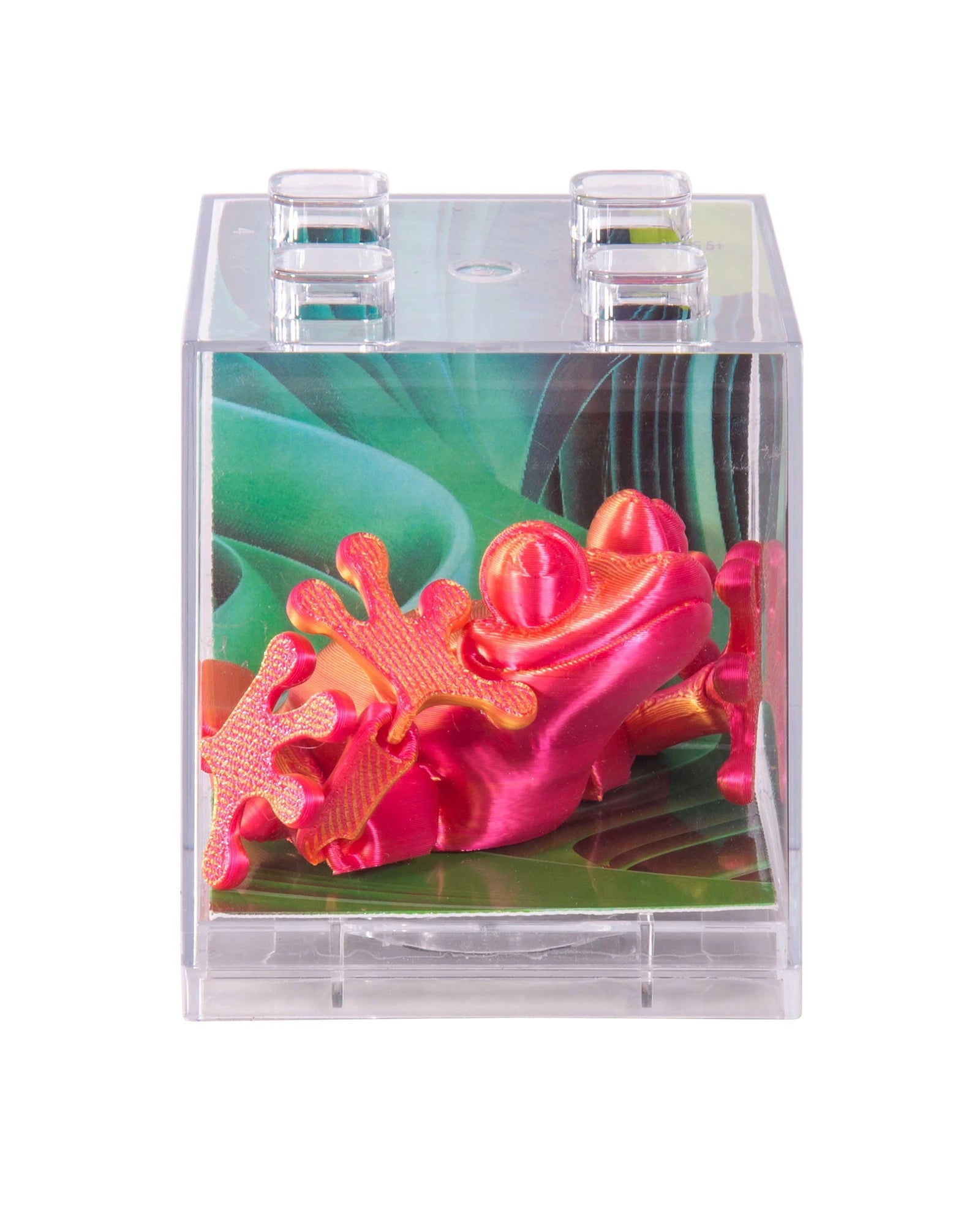 3D Sensory Frog Assorted