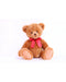 Animal Allsorts Bingo Bear 12 Inch