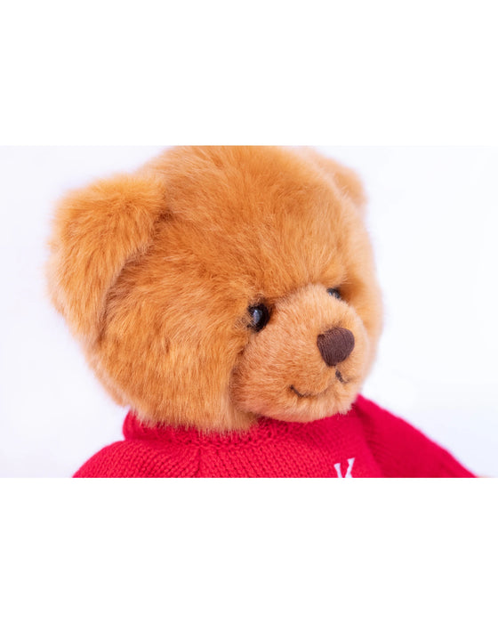 Animal Allsorts Alfie Bear 8 Inch with Jumper