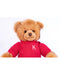 Animal Allsorts Alfie Bear 8 Inch with Jumper