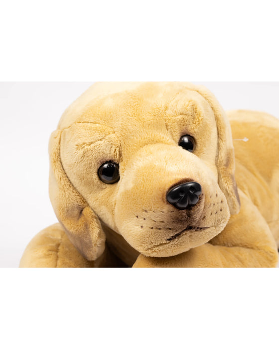 Animal Allsorts Myles The Labrador Kidstuff
