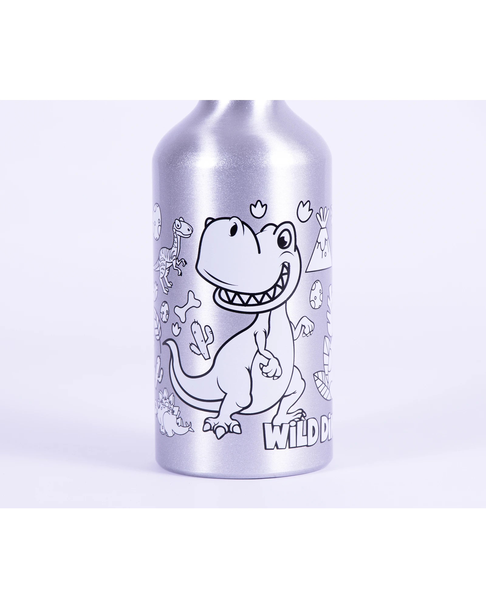 Icando Decorate Your Own Dinosaur Waterbottle