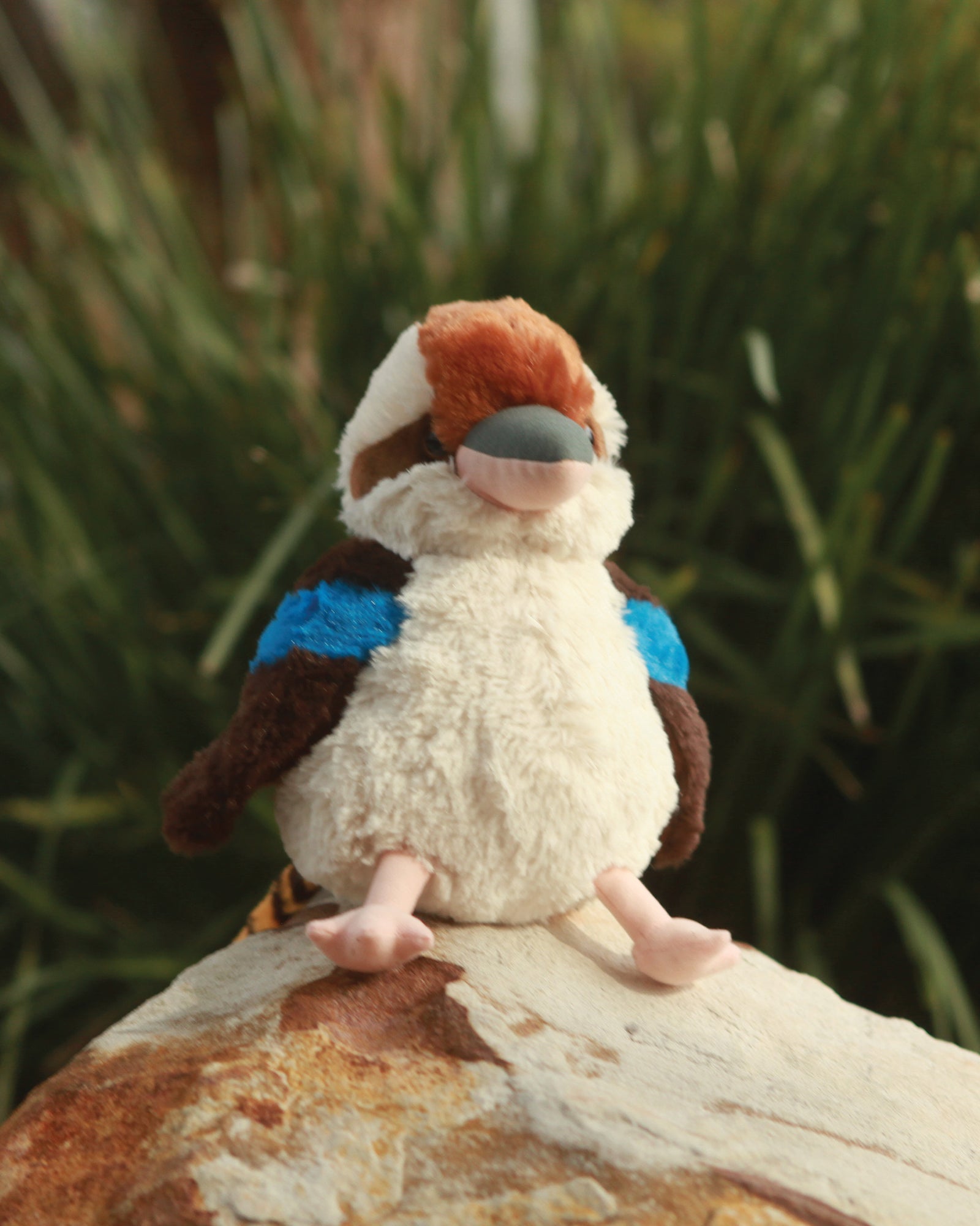 Keira Kookaburra