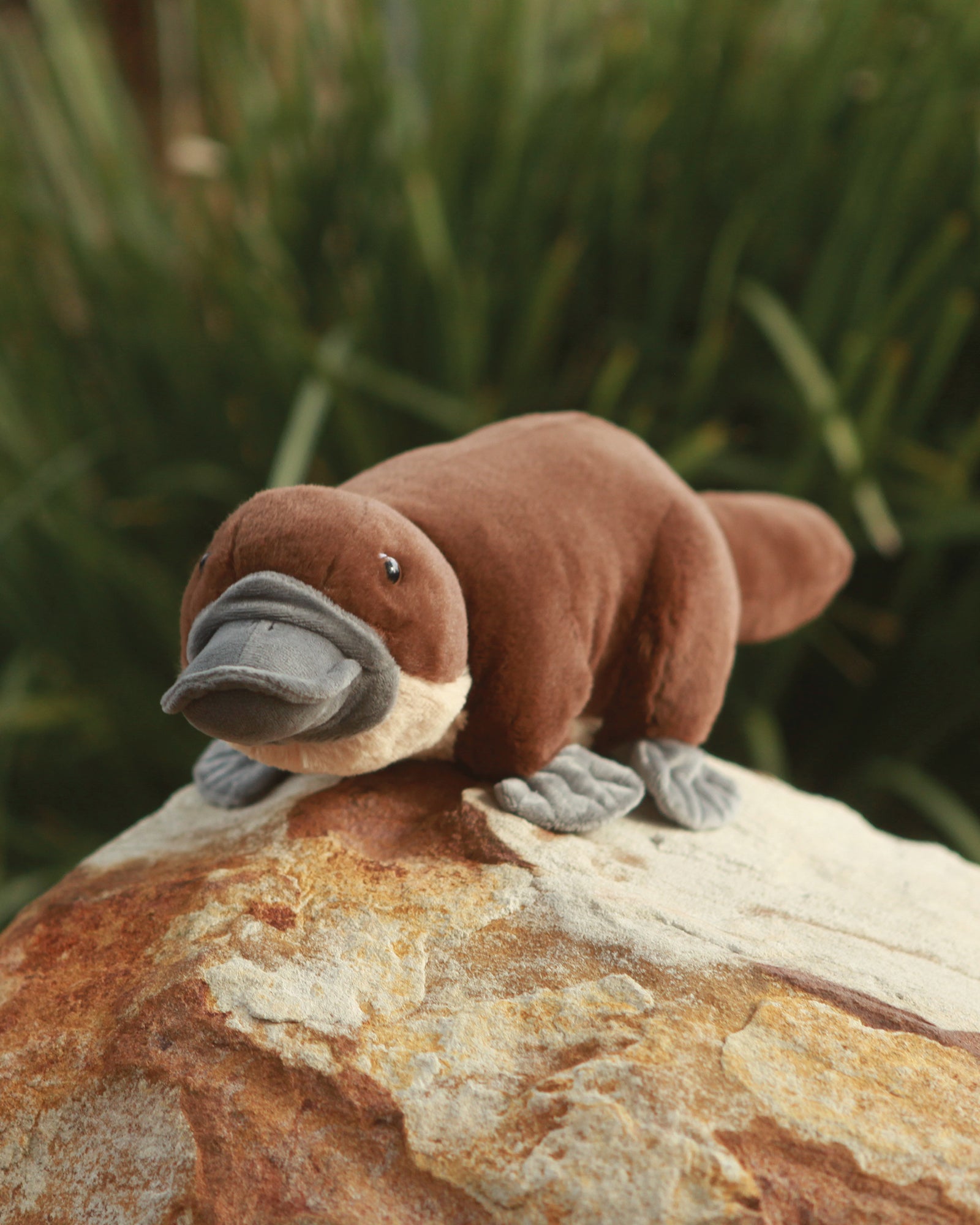 Animal Allsorts Poppy Platypus