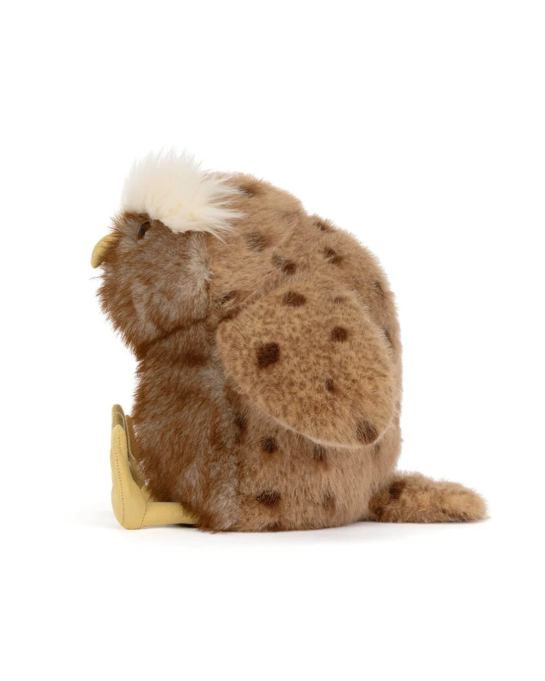 Tawoola Owl