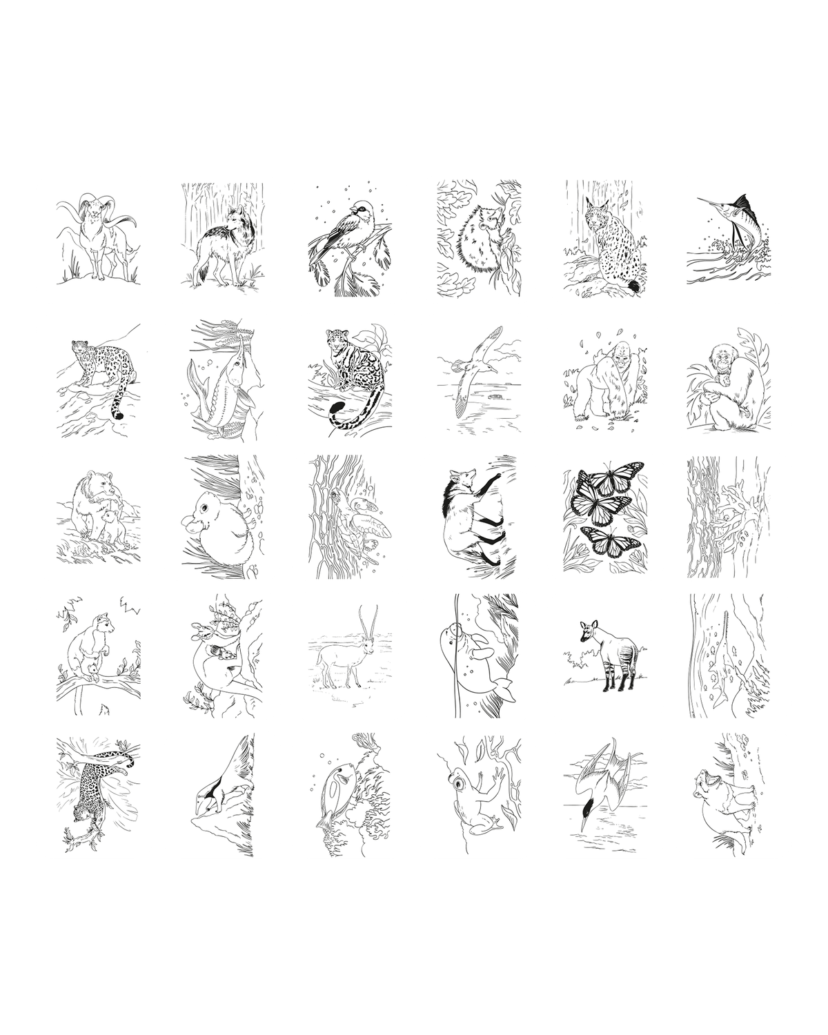 KIDYDRW PAD Animals