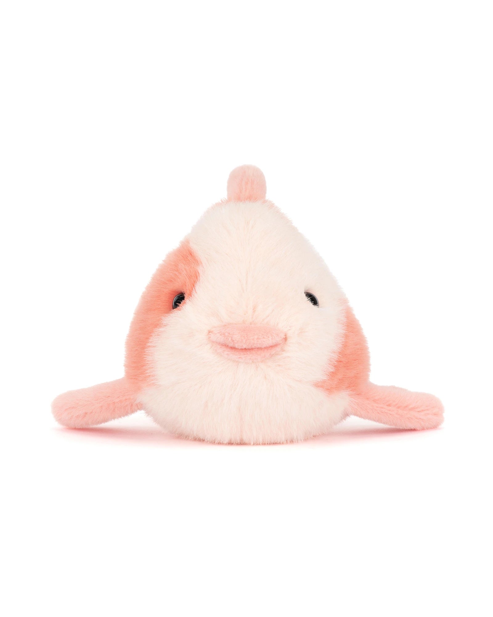 Fancy Carp