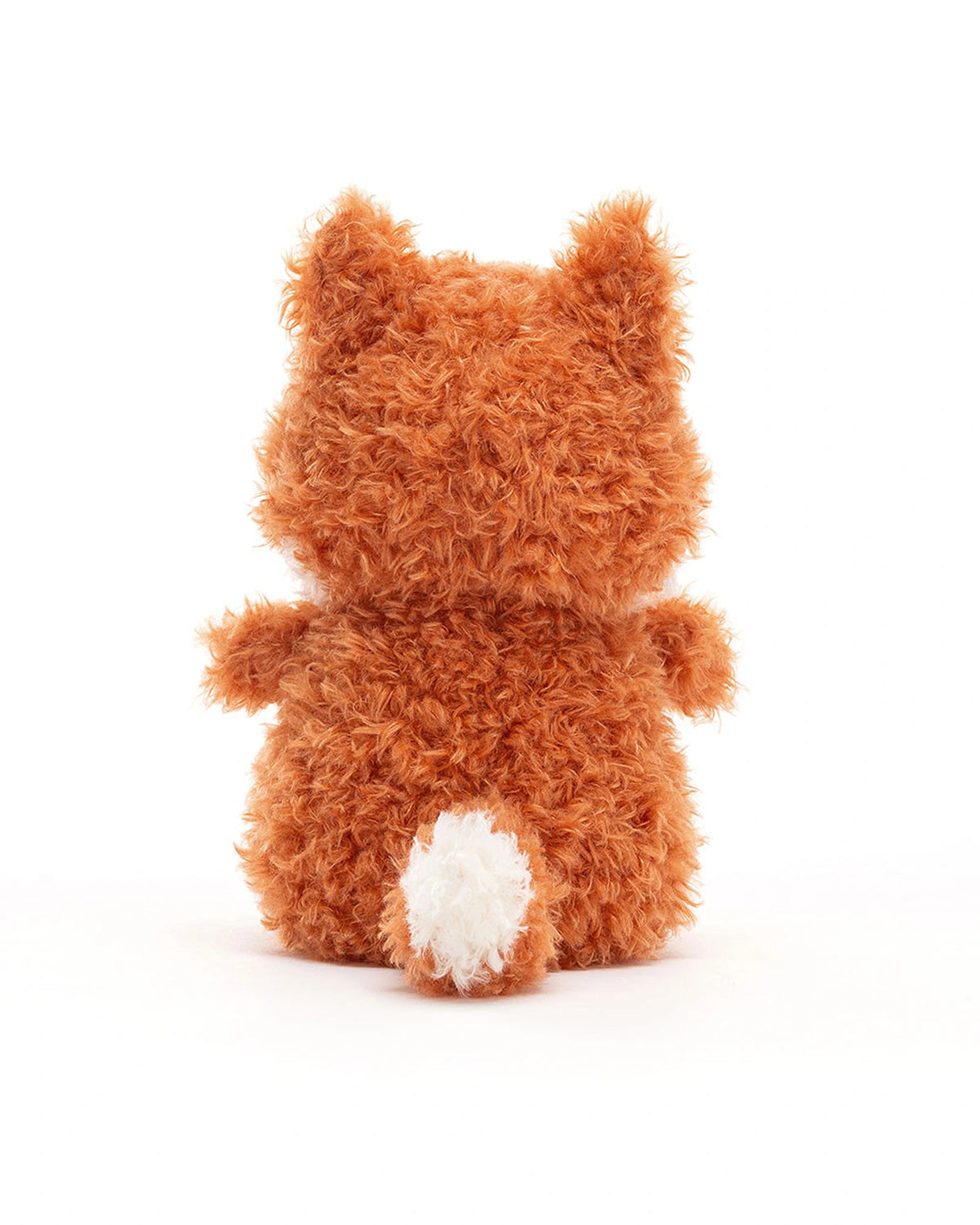 Little Fox
