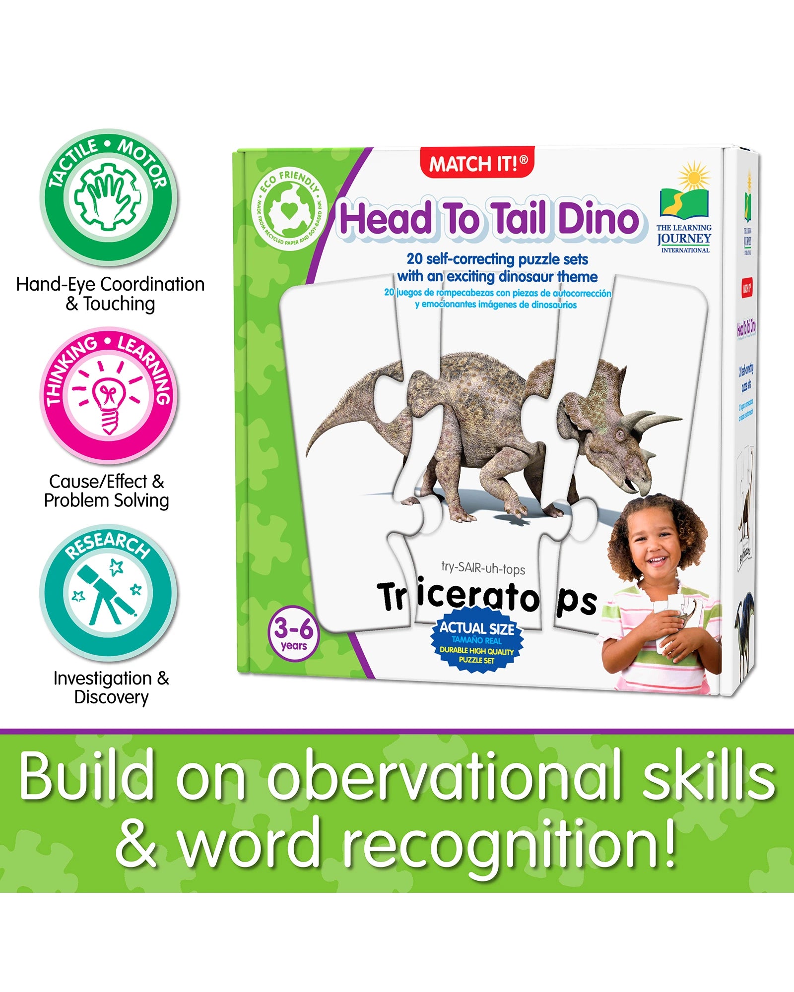 Match It! Head to Tail Dinos