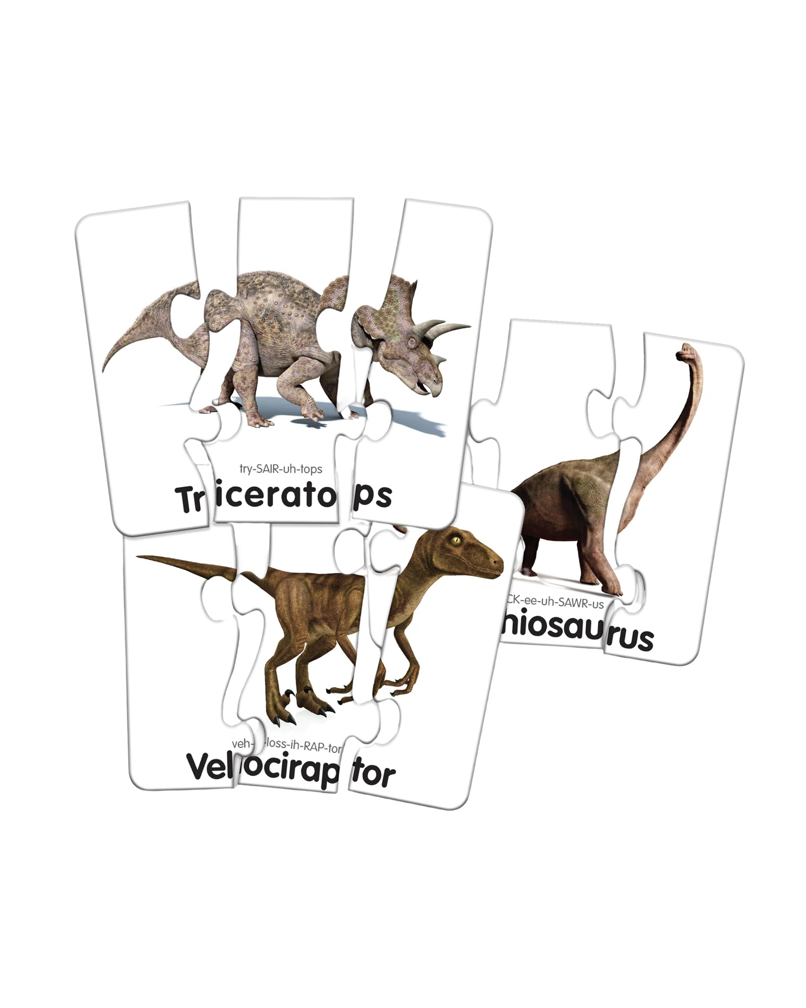 Match It! Head to Tail Dinos